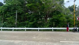 Land for sale in Helen, Siquijor