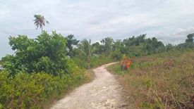 Land for sale in Saavedra, Cebu