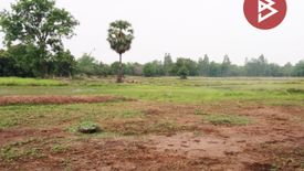 Land for sale in Kut Du, Nong Bua Lamphu