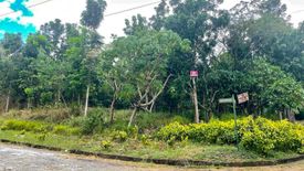 Land for sale in Muntingdilaw, Rizal