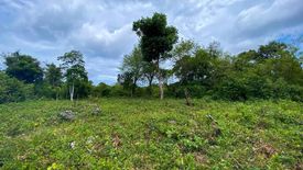 Land for sale in Tabalong, Bohol