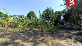 Land for sale in Chorakhe Rong, Ang Thong