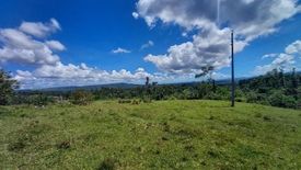Land for sale in Calatrava, Bohol