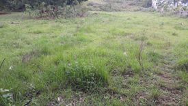 Land for sale in Looc, Cebu