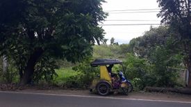 Land for sale in Looc, Cebu