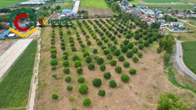 Land for sale in San Agustin Norte, Pampanga