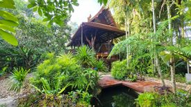 2 Bedroom House for Sale or Rent in Tha Yu, Phang Nga