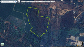 Land for sale in Luang Nuea, Chiang Mai