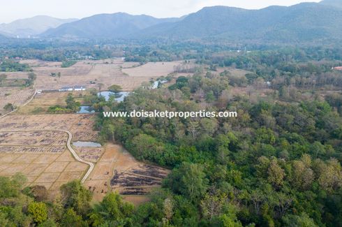 Land for sale in Luang Nuea, Chiang Mai