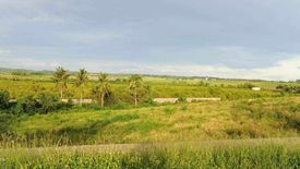 Land for sale in Caputatan Sur, Cebu