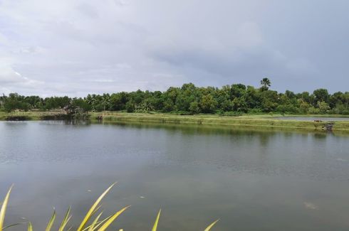 Land for sale in Tagum Norte, Bohol