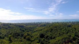 Land for sale in Maruyogon, Palawan