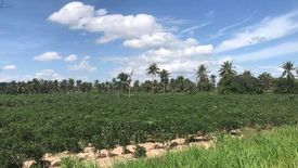 Land for sale in Huai Yai, Chonburi