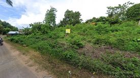 Land for sale in Mayacabac, Bohol