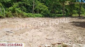 Land for sale in Kaeng Krachan, Phetchaburi