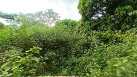 Land for sale in Palangue 1, Cavite