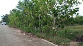 Land for sale in Libaong, Bohol