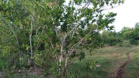 Land for sale in Libaong, Bohol