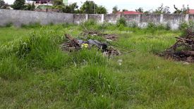 Land for sale in Agus, Cebu