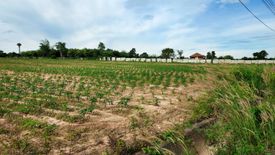 Land for sale in Pong, Chonburi