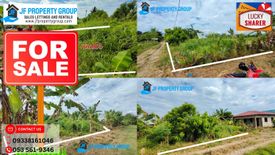 Land for sale in Guintigui-An, Leyte