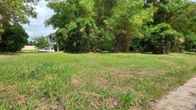 Land for sale in Don Jose, Laguna