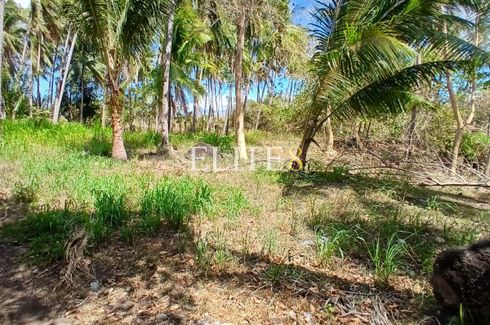 Land for sale in Panubtuban, Negros Oriental
