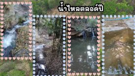 Land for sale in Ban Pong, Chiang Mai