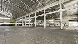 Warehouse / Factory for rent in Bungahan, Laguna