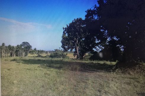 Land for sale in Alaguia, Cagayan