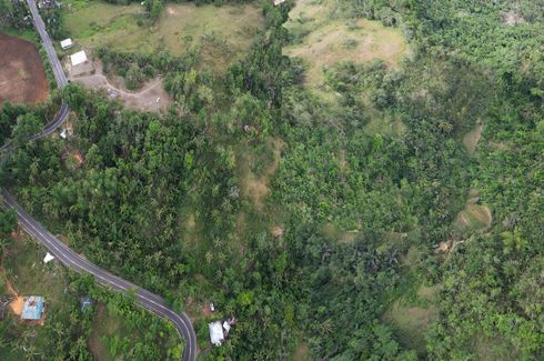 Land for sale in Kalumboyan, Negros Oriental