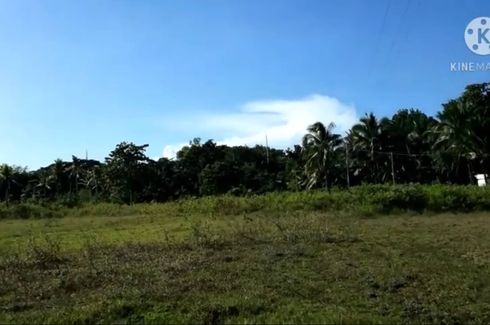 Land for sale in Liong, Cebu