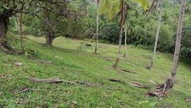 Land for sale in Adlaon, Cebu