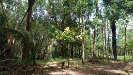 Land for sale in Mangas I, Cavite
