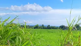 Land for sale in Biliboy, Leyte