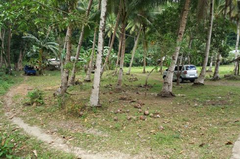 Land for sale in Gotozon, Bohol