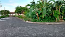 Land for sale in Mactan, Cebu