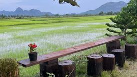 ขายที่ดิน ใน หนองกระทุ่ม, ปากท่อ