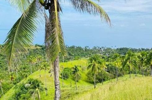 Land for sale in Imadejas Poblacion, Agusan del Norte