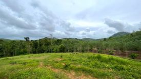 Land for sale in Tha Yu, Phang Nga