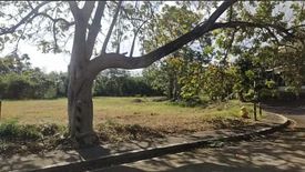 Land for sale in Rosario, Laguna