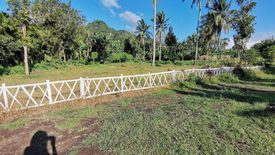 Land for sale in Barangay II-C, Laguna