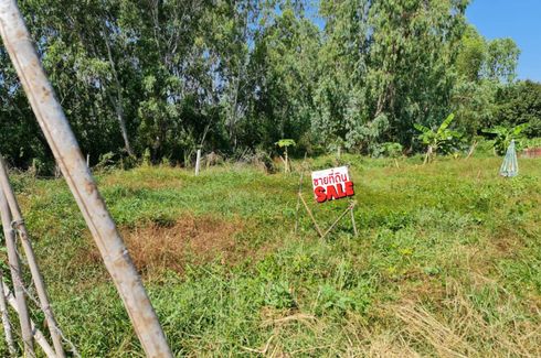 Land for sale in Phe, Rayong
