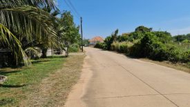 Land for sale in Phe, Rayong