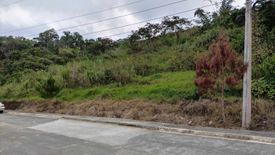 Land for sale in Poblacion, Benguet