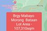 Land for sale in Mabayo, Bataan