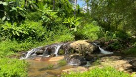 ขายที่ดิน ใน ศรีสุนทร, ถลาง