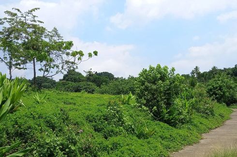 Land for sale in Mahipon, Laguna