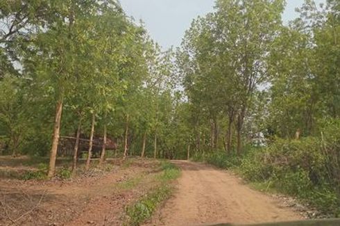Land for sale in Tha Ibun, Phetchabun