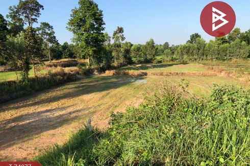 Land for sale in Na Chaluai, Ubon Ratchathani